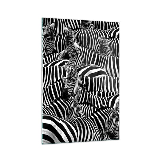 Obraz na szkle - Portret zbiorowy w paski - 70x100cm - Zwierzęta Zebra Natura - Nowoczesny foto szklany obraz do salonu do sypialni ARTTOR ARTTOR