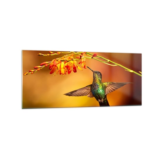 Obraz na szkle - Posłaniec światła wg Majów - 120x50cm - Koliber Ptak Natura - Nowoczesny szklany obraz na ścianę do salonu do sypialni ARTTOR ARTTOR