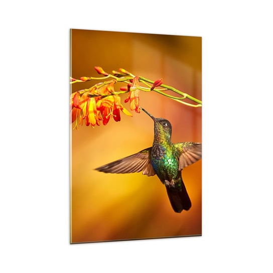 Obraz na szkle - Posłaniec światła wg Majów - 80x120cm - Koliber Ptak Natura - Nowoczesny szklany obraz na ścianę do salonu do sypialni ARTTOR ARTTOR