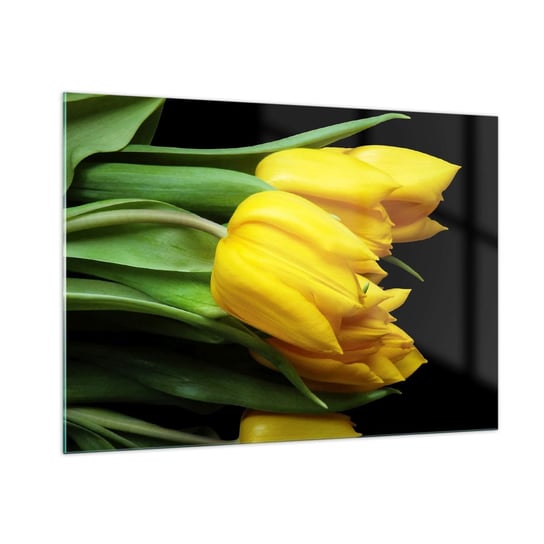 Obraz na szkle - Powstały z czystego słońca - 100x70cm - Kwiaty Tulipany Bukiet Kwiatów - Nowoczesny foto szklany obraz do salonu do sypialni ARTTOR ARTTOR