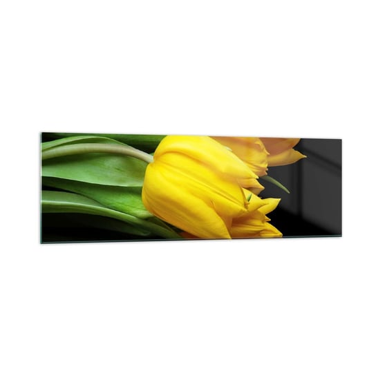 Obraz na szkle - Powstały z czystego słońca - 160x50cm - Kwiaty Tulipany Bukiet Kwiatów - Nowoczesny foto szklany obraz do salonu do sypialni ARTTOR ARTTOR