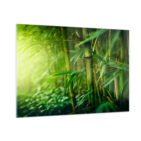 Obraz na szkle - Poznać zieleń samą w sobie - 100x70cm - Roślina Bambus Dżungla - Nowoczesny foto szklany obraz do salonu do sypialni ARTTOR ARTTOR