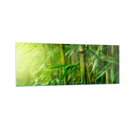 Obraz na szkle - Poznać zieleń samą w sobie - 140x50cm - Roślina Bambus Dżungla - Nowoczesny szklany obraz do salonu do sypialni ARTTOR ARTTOR