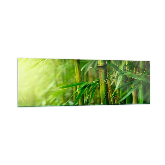 Obraz na szkle - Poznać zieleń samą w sobie - 160x50cm - Roślina Bambus Dżungla - Nowoczesny foto szklany obraz do salonu do sypialni ARTTOR ARTTOR