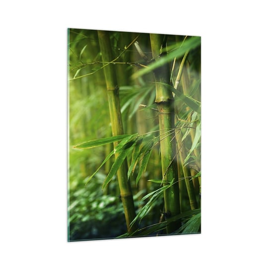 Obraz na szkle - Poznać zieleń samą w sobie - 50x70cm - Roślina Bambus Dżungla - Nowoczesny szklany obraz do salonu do sypialni ARTTOR ARTTOR