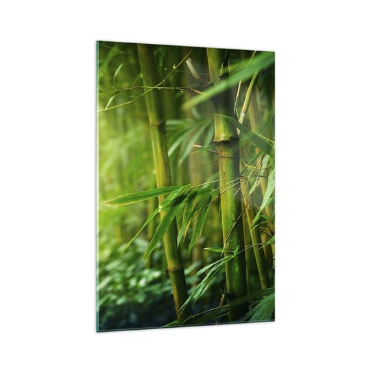 Obraz na szkle - Poznać zieleń samą w sobie - 70x100cm - Roślina Bambus Dżungla - Nowoczesny foto szklany obraz do salonu do sypialni ARTTOR ARTTOR