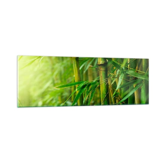 Obraz na szkle - Poznać zieleń samą w sobie - 90x30cm - Roślina Bambus Dżungla - Nowoczesny szklany obraz do salonu do sypialni ARTTOR ARTTOR