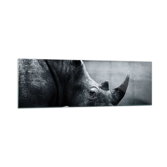 Obraz na szkle - Prawy profil - 160x50cm - Nosorożec Czarno-Biały Zwierzęta - Nowoczesny foto szklany obraz do salonu do sypialni ARTTOR ARTTOR