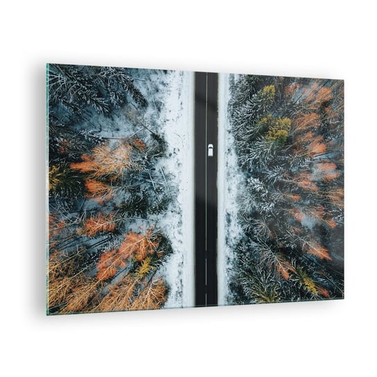 Obraz na szkle - Przeciąć zimowy las - 70x50cm - Krajobraz Las Zima - Nowoczesny szklany obraz do salonu do sypialni ARTTOR ARTTOR
