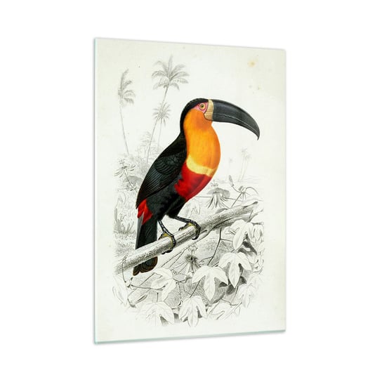 Obraz na szkle - Ptasie barwy - 50x70cm - Ptak Rysunek Klasycyzm - Nowoczesny szklany obraz do salonu do sypialni ARTTOR ARTTOR