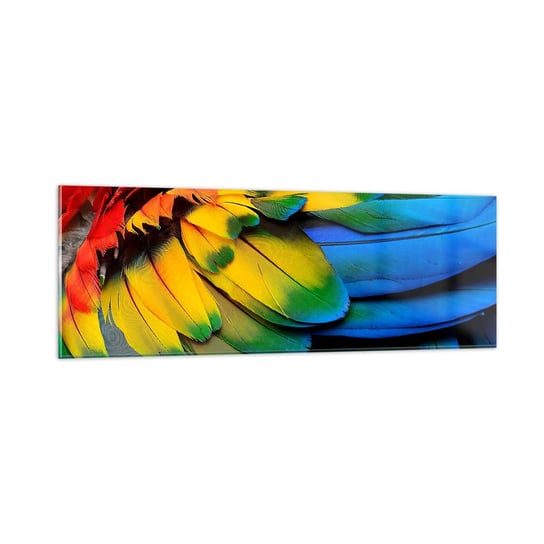 Obraz na szkle - Rajski ptak - 90x30cm - Kolorowe Pióra Pióra Papugi Zwierzęta - Nowoczesny szklany obraz do salonu do sypialni ARTTOR ARTTOR