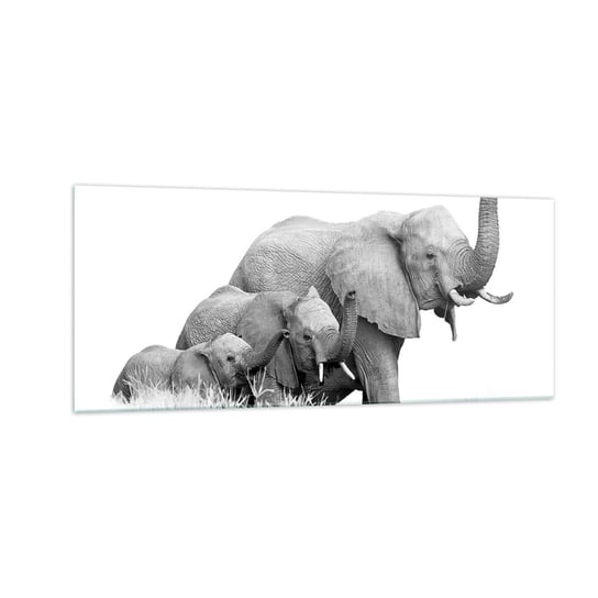 Obraz na szkle - Raz, dwa, trzy - 100x40cm - Zwierzęta Słoń Czarno-Biały - Nowoczesny foto szklany obraz do salonu do sypialni ARTTOR ARTTOR