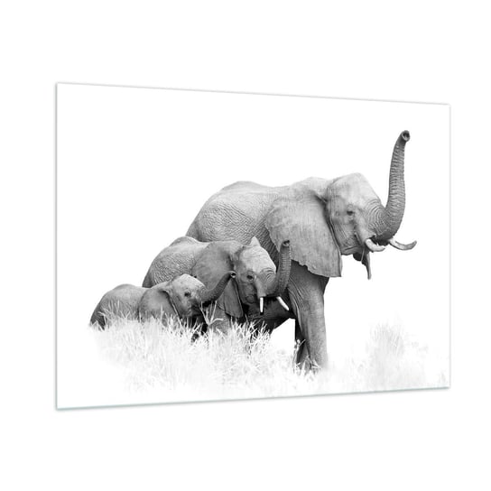 Obraz na szkle - Raz, dwa, trzy - 100x70cm - Zwierzęta Słoń Czarno-Biały - Nowoczesny foto szklany obraz do salonu do sypialni ARTTOR ARTTOR