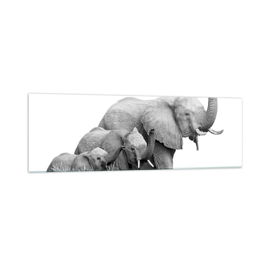 Obraz na szkle - Raz, dwa, trzy - 160x50cm - Zwierzęta Słoń Czarno-Biały - Nowoczesny foto szklany obraz do salonu do sypialni ARTTOR ARTTOR
