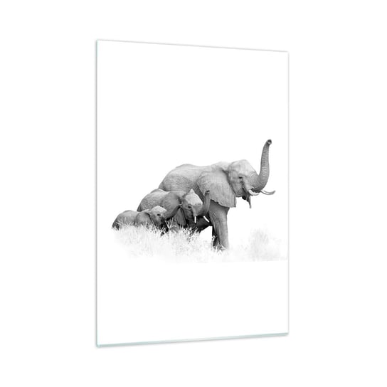 Obraz na szkle - Raz, dwa, trzy - 50x70cm - Zwierzęta Słoń Czarno-Biały - Nowoczesny szklany obraz do salonu do sypialni ARTTOR ARTTOR