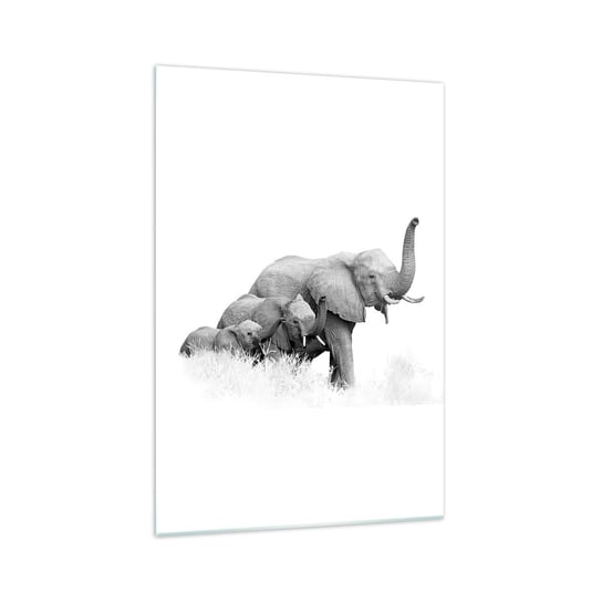 Obraz na szkle - Raz, dwa, trzy - 70x100cm - Zwierzęta Słoń Czarno-Biały - Nowoczesny foto szklany obraz do salonu do sypialni ARTTOR ARTTOR
