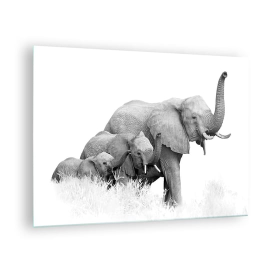 Obraz na szkle - Raz, dwa, trzy - 70x50cm - Zwierzęta Słoń Czarno-Biały - Nowoczesny szklany obraz do salonu do sypialni ARTTOR ARTTOR