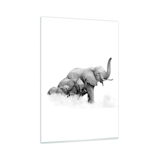 Obraz na szkle - Raz, dwa, trzy - 80x120cm - Zwierzęta Słoń Czarno-Biały - Nowoczesny szklany obraz na ścianę do salonu do sypialni ARTTOR ARTTOR