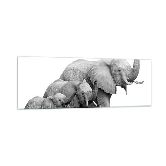 Obraz na szkle - Raz, dwa, trzy - 90x30cm - Zwierzęta Słoń Czarno-Biały - Nowoczesny szklany obraz do salonu do sypialni ARTTOR ARTTOR