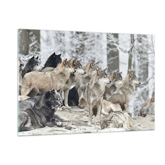 Obraz na szkle - Rodzina i przyjaciele - 120x80cm - Wataha Wilków Wilki Zwierzęta - Nowoczesny szklany obraz na ścianę do salonu do sypialni ARTTOR ARTTOR
