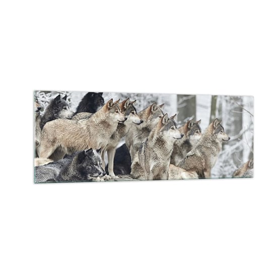 Obraz na szkle - Rodzina i przyjaciele - 140x50cm - Wataha Wilków Wilki Zwierzęta - Nowoczesny szklany obraz do salonu do sypialni ARTTOR ARTTOR