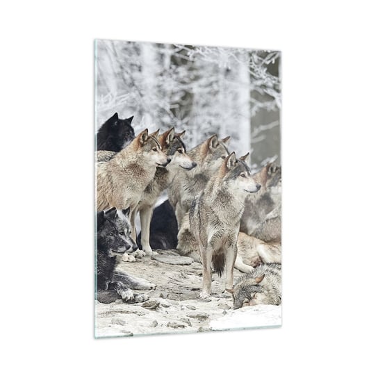 Obraz na szkle - Rodzina i przyjaciele - 50x70cm - Wataha Wilków Wilki Zwierzęta - Nowoczesny szklany obraz do salonu do sypialni ARTTOR ARTTOR