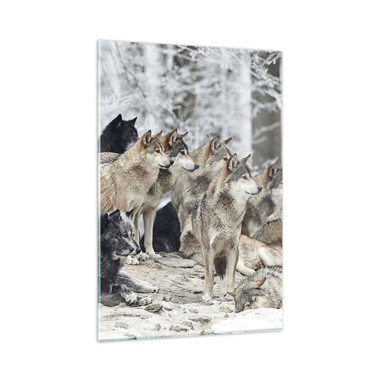 Obraz na szkle - Rodzina i przyjaciele - 80x120cm - Wataha Wilków Wilki Zwierzęta - Nowoczesny szklany obraz na ścianę do salonu do sypialni ARTTOR ARTTOR