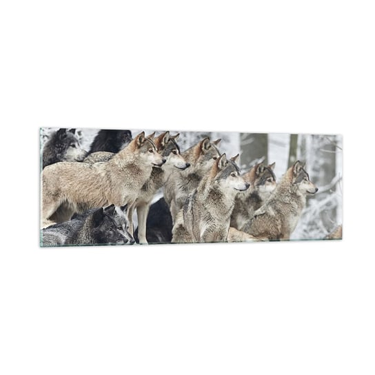 Obraz na szkle - Rodzina i przyjaciele - 90x30cm - Wataha Wilków Wilki Zwierzęta - Nowoczesny szklany obraz do salonu do sypialni ARTTOR ARTTOR