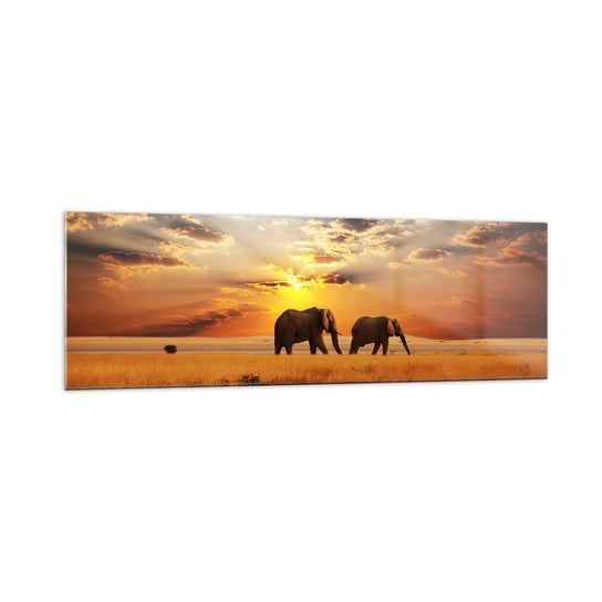 Obraz na szkle - Rodzinna przechadzka - 160x50cm - Zwierzęta Afryka Słoń - Nowoczesny foto szklany obraz do salonu do sypialni ARTTOR ARTTOR