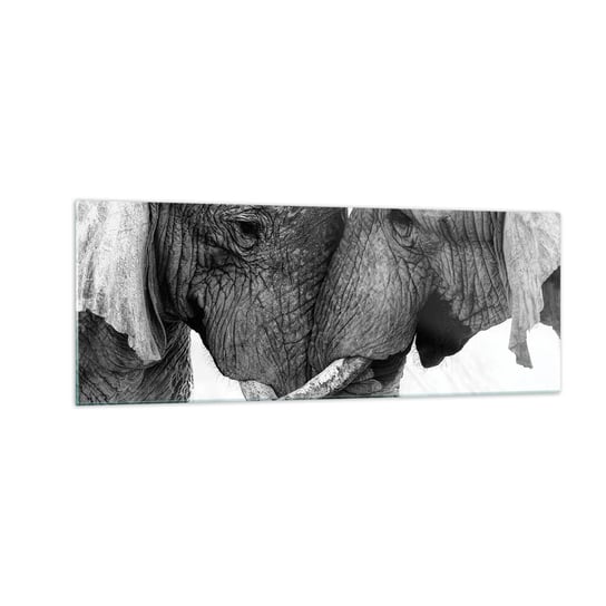 Obraz na szkle - Serdeczne wyznanie - 140x50cm - Słoń Zwierzęta Afryka - Nowoczesny szklany obraz do salonu do sypialni ARTTOR ARTTOR