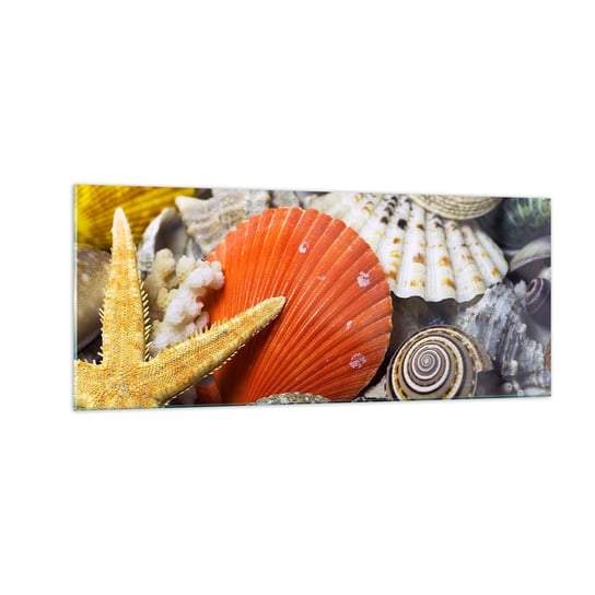 Obraz na szkle - Skarby oceanu - 100x40cm - Natura Muszle Rafa Koralowa - Nowoczesny foto szklany obraz do salonu do sypialni ARTTOR ARTTOR