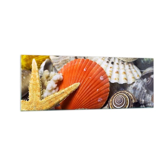 Obraz na szkle - Skarby oceanu - 140x50cm - Natura Muszle Rafa Koralowa - Nowoczesny szklany obraz do salonu do sypialni ARTTOR ARTTOR
