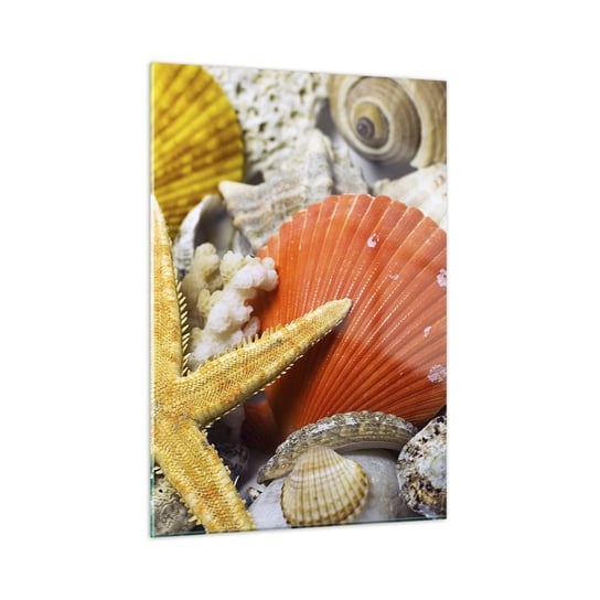 Obraz na szkle - Skarby oceanu - 50x70cm - Natura Muszle Rafa Koralowa - Nowoczesny szklany obraz do salonu do sypialni ARTTOR ARTTOR
