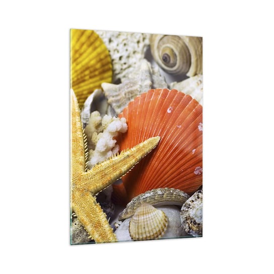 Obraz na szkle - Skarby oceanu - 80x120cm - Natura Muszle Rafa Koralowa - Nowoczesny szklany obraz na ścianę do salonu do sypialni ARTTOR ARTTOR