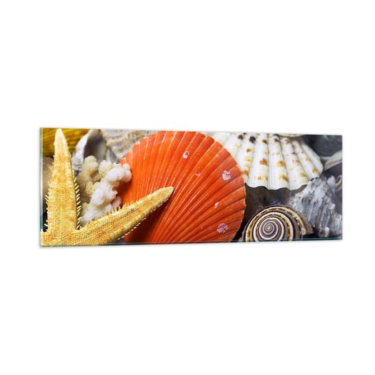 Obraz na szkle - Skarby oceanu - 90x30cm - Natura Muszle Rafa Koralowa - Nowoczesny szklany obraz do salonu do sypialni ARTTOR ARTTOR