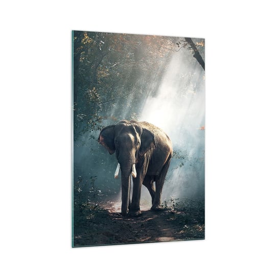 Obraz na szkle - Spokojna przechadzka - 70x100cm - Zwierzęta Słoń Dżungla - Nowoczesny foto szklany obraz do salonu do sypialni ARTTOR ARTTOR
