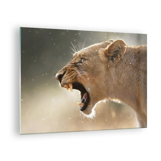 Obraz na szkle - Spróbuj nie posłuchać - 70x50cm - Zwierzęta Lew Afryka - Nowoczesny szklany obraz do salonu do sypialni ARTTOR ARTTOR