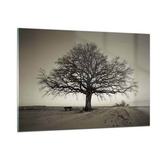 Obraz na szkle - Stąd do wieczności - 120x80cm - Krajobraz Drzewo Natura - Nowoczesny szklany obraz na ścianę do salonu do sypialni ARTTOR ARTTOR