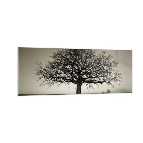 Obraz na szkle - Stąd do wieczności - 140x50cm - Krajobraz Drzewo Natura - Nowoczesny szklany obraz do salonu do sypialni ARTTOR ARTTOR