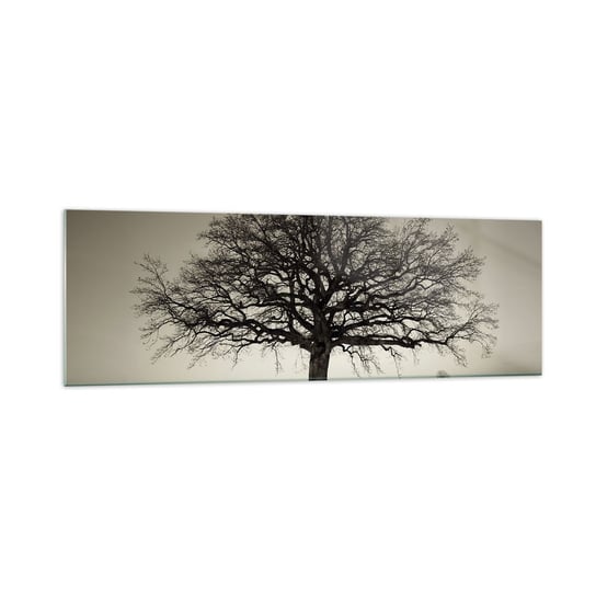 Obraz na szkle - Stąd do wieczności - 160x50cm - Krajobraz Drzewo Natura - Nowoczesny foto szklany obraz do salonu do sypialni ARTTOR ARTTOR