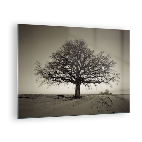 Obraz na szkle - Stąd do wieczności - 70x50cm - Krajobraz Drzewo Natura - Nowoczesny szklany obraz do salonu do sypialni ARTTOR ARTTOR