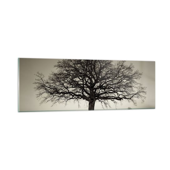 Obraz na szkle - Stąd do wieczności - 90x30cm - Krajobraz Drzewo Natura - Nowoczesny szklany obraz do salonu do sypialni ARTTOR ARTTOR
