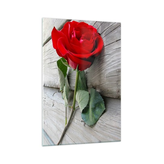 Obraz na szkle - Studium w szkarłacie - 70x100cm - Róża Miłość Kwiat - Nowoczesny foto szklany obraz do salonu do sypialni ARTTOR ARTTOR