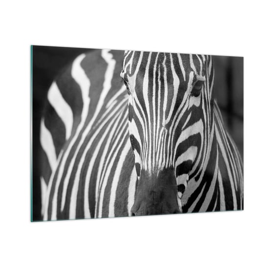 Obraz na szkle - Świat jest czarno-biały - 100x70cm - Zwierzęta Zebra Czarno-Biały - Nowoczesny foto szklany obraz do salonu do sypialni ARTTOR ARTTOR