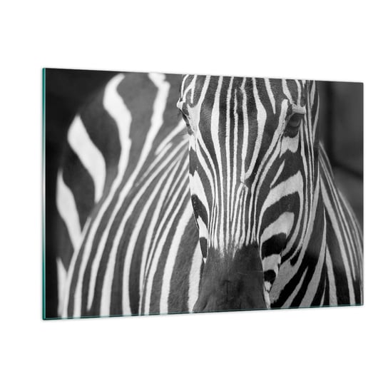 Obraz na szkle - Świat jest czarno-biały - 120x80cm - Zwierzęta Zebra Czarno-Biały - Nowoczesny szklany obraz na ścianę do salonu do sypialni ARTTOR ARTTOR