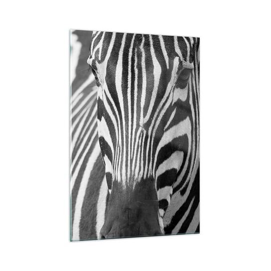 Obraz na szkle - Świat jest czarno-biały - 70x100cm - Zwierzęta Zebra Czarno-Biały - Nowoczesny foto szklany obraz do salonu do sypialni ARTTOR ARTTOR