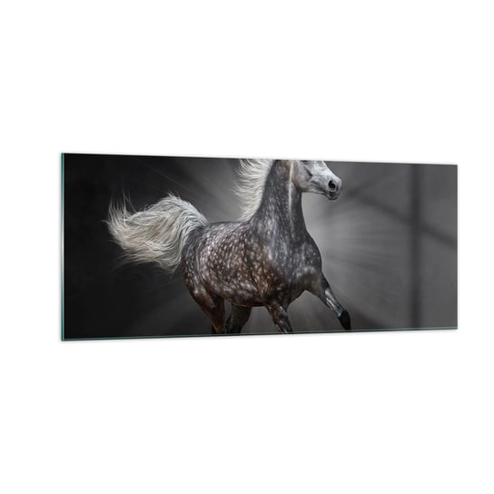 Obraz na szkle - Szare jest piękne - 100x40cm - Zwierzęta Koń Arabski Natura - Nowoczesny foto szklany obraz do salonu do sypialni ARTTOR ARTTOR