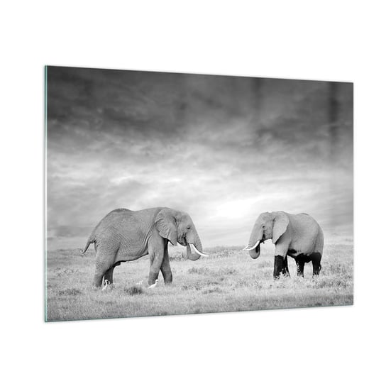 Obraz na szkle - Szare jest piękne - 100x70cm - Słoń Zwierzęta Safari - Nowoczesny foto szklany obraz do salonu do sypialni ARTTOR ARTTOR