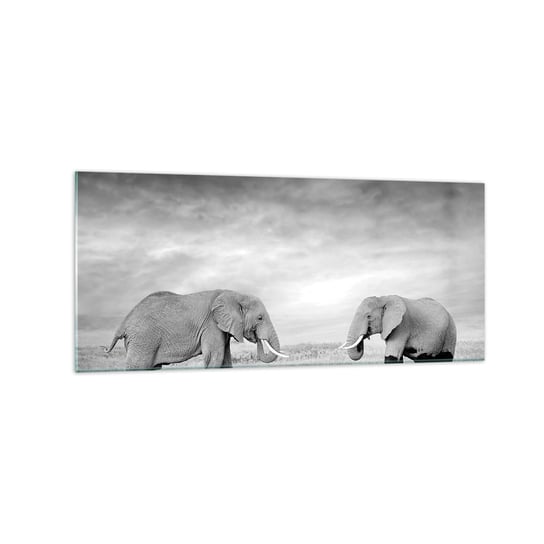 Obraz na szkle - Szare jest piękne - 120x50cm - Słoń Zwierzęta Safari - Nowoczesny szklany obraz na ścianę do salonu do sypialni ARTTOR ARTTOR