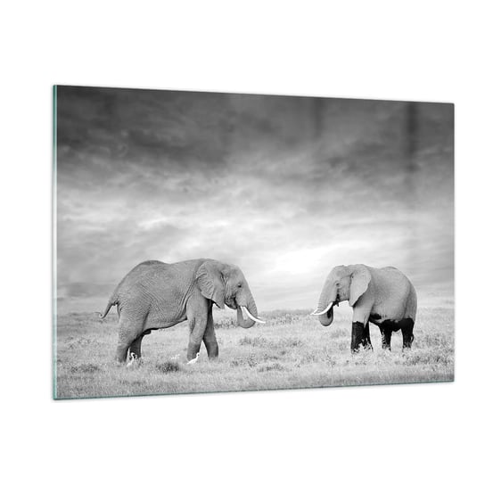 Obraz na szkle - Szare jest piękne - 120x80cm - Słoń Zwierzęta Safari - Nowoczesny szklany obraz na ścianę do salonu do sypialni ARTTOR ARTTOR